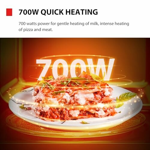700W microwave heating pizza and meat