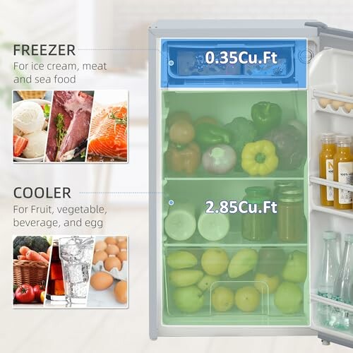 Mini fridge with freezer and cooler sections labeled with capacities.